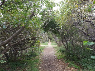 Holiday house Tranquil Retreat in Klitmoller - By Traum Ferienwohnungen - Outdoor photo 7