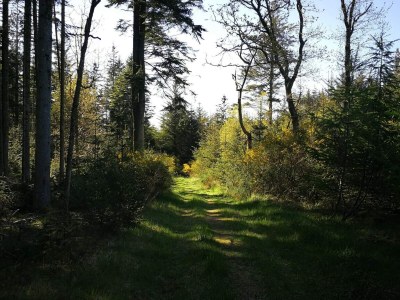 Holiday house Tranquil Retreat in Klitmoller - By Traum Ferienwohnungen - Outdoor photo 21