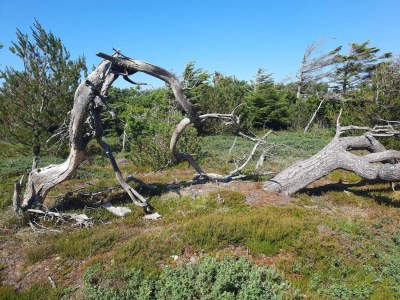 Holiday house Tranquil Retreat in Klitmoller - By Traum Ferienwohnungen - Outdoor photo 23