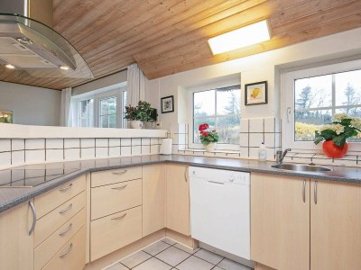 Holiday house 10 Personen Ferienhaus in Ulfborg-By Traum - Outdoor photo 23