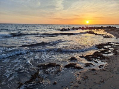 Holiday house Gemutliches Refugium mit Sauna -- By Traum Ferienwohnungen - Outdoor photo 10