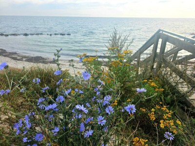 Holiday house Gemutliches Refugium mit Sauna -- By Traum Ferienwohnungen - Outdoor photo 23