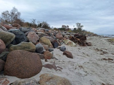 Holiday house Gemutliches Refugium mit Sauna -- By Traum Ferienwohnungen - Outdoor photo 31
