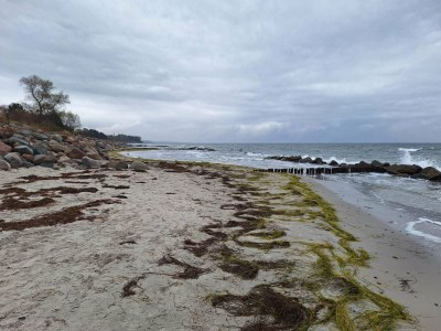 Holiday house Gemutliches Refugium mit Sauna -- By Traum Ferienwohnungen - Outdoor photo 32