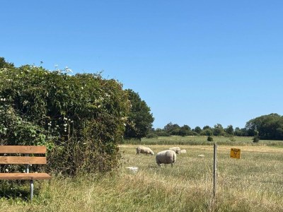 Holiday house Gemutliches Refugium mit Sauna -- By Traum Ferienwohnungen - Outdoor photo 33