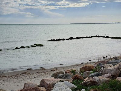 Holiday house Gemutliches Refugium mit Sauna -- By Traum Ferienwohnungen - Outdoor photo 36