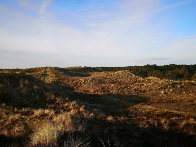 Holiday house Meeresflucht in Ho -- By Traum Ferienwohnungen - Outdoor photo 15