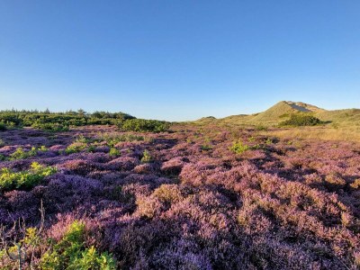 Holiday house Meeresflucht in Ho -- By Traum Ferienwohnungen - Outdoor photo 26