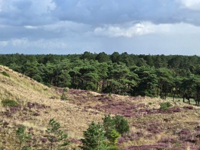 Holiday house Meeresflucht in Ho -- By Traum Ferienwohnungen - Outdoor photo 28