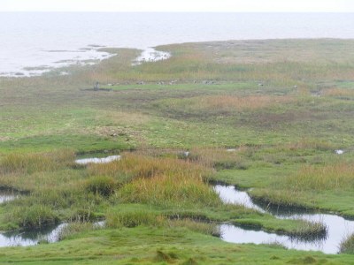 Holiday house 6 Personen Ferienhaus in Rømø-By Traum - Outdoor photo 32