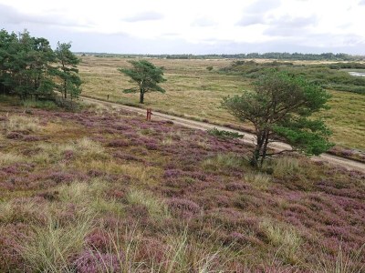Holiday house Gemutliches Strandhaus in Vejers -- By Traum Ferienwohnungen - Outdoor photo 7