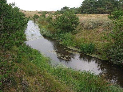 Holiday house Gemutliches Strandhaus in Vejers -- By Traum Ferienwohnungen - Outdoor photo 9