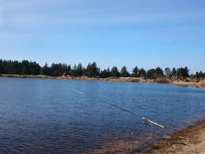 Holiday house Gemutliches Strandhaus in Vejers -- By Traum Ferienwohnungen - Outdoor photo 12