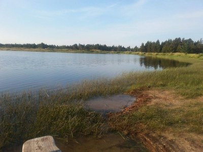 Holiday house Gemutliches Strandhaus in Vejers -- By Traum Ferienwohnungen - Outdoor photo 16