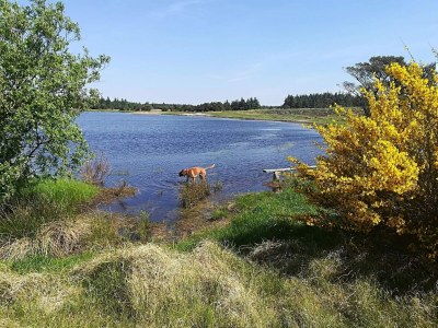 Holiday house Gemutliches Strandhaus in Vejers -- By Traum Ferienwohnungen - Outdoor photo 17