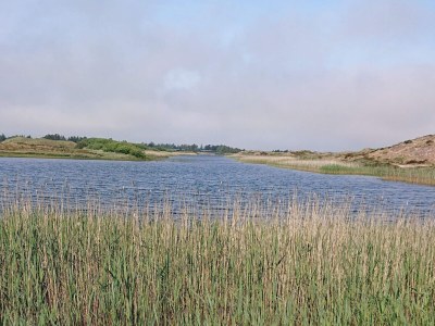 Holiday house Gemutliches Strandhaus in Vejers -- By Traum Ferienwohnungen - Outdoor photo 18