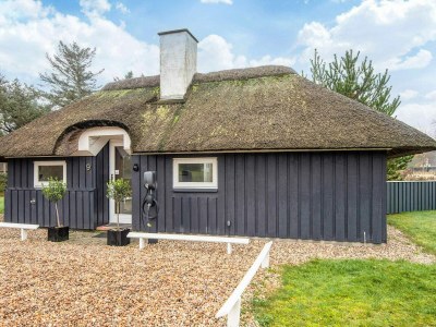 Holiday house Gemutliches Strandhaus in Vejers -- By Traum Ferienwohnungen - Outdoor photo 38