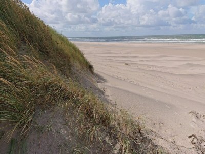 Holiday house Gemutliches Strandhaus in Vejers -- By Traum Ferienwohnungen - Outdoor photo 45