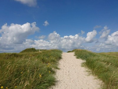 Holiday house Gemutliches Strandhaus in Vejers -- By Traum Ferienwohnungen - Outdoor photo 49