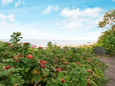 Holiday house Meerblick Flucht -- By Traum Ferienwohnungen - Outdoor photo 9