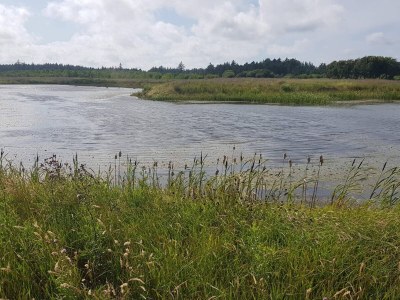 Holiday house 6 person holiday home in Løkken-By Traum - Outdoor photo 20