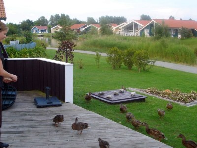 Holiday house 6 Personen Ferienhaus in Otterndorf - Outdoor photo 18