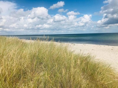 Holiday house 12 Personen Ferienhaus in Idestrup-By Traum - Outdoor photo 38