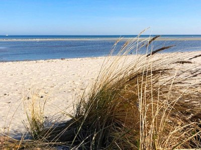 Holiday house Üppiges Ferienhaus mit Sauna - Outdoor photo 36