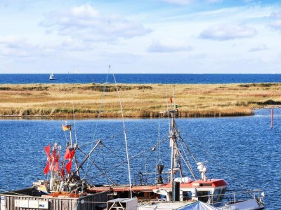 Apartment 6 Personen Ferienhaus in Wendtorf - Outdoor photo 61