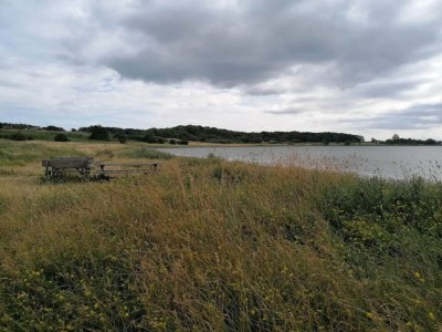 Holiday house 8 Personen Ferienhaus in Ebeltoft-By Traum - Outdoor photo 18