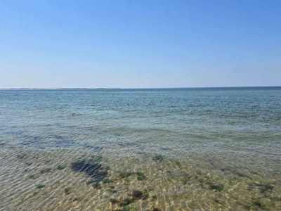 Apartment 4 person holiday home in Rømø-By Traum - Outdoor photo 8