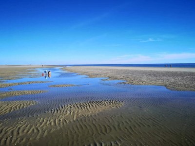 Apartment 4 person holiday home in Rømø-By Traum - Outdoor photo 44