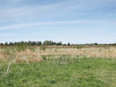 Holiday house Ruckzug in Tranum -- By Traum Ferienwohnungen - Outdoor photo 53