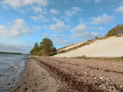 Holiday house 6 person holiday home in Børkop-By Traum - Outdoor photo 8