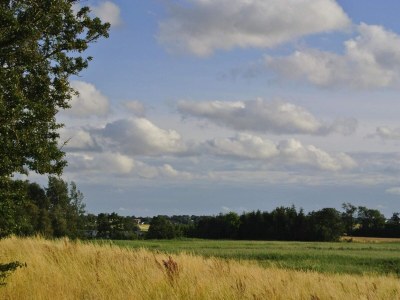 Holiday house 8 Personen Ferienhaus in Hejls-By Traum - Outdoor photo 6
