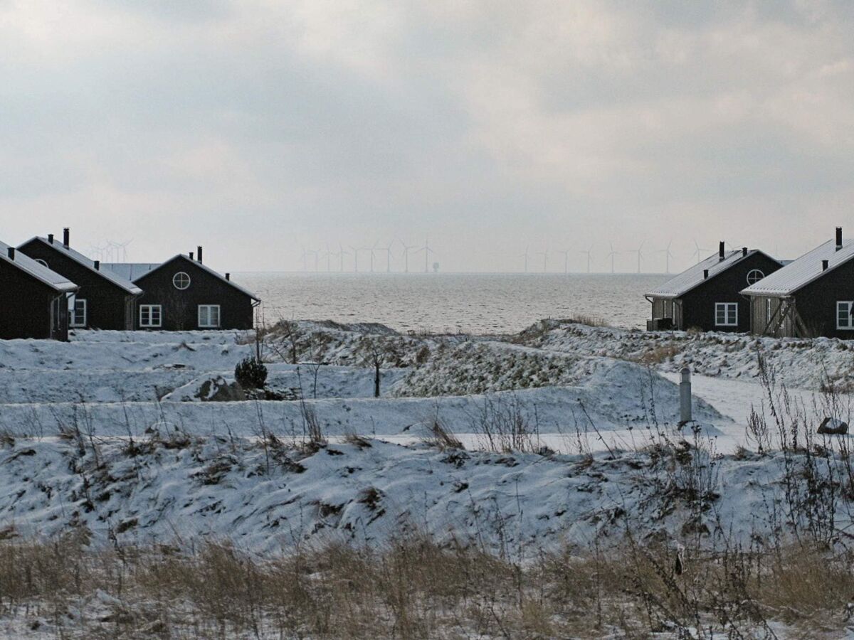 Holiday house 10 person holiday home in Nysted-By Traum - Outdoor photo 5