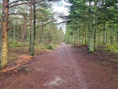 Holiday house 8 person holiday home in Ålbæk-By Traum - Outdoor photo 12