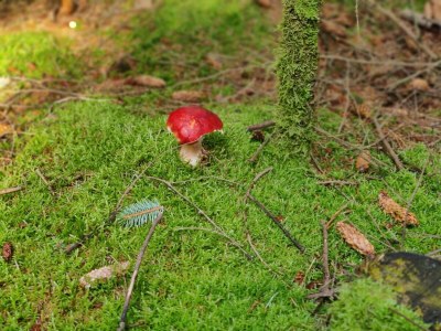 Holiday house 8 person holiday home in Ålbæk-By Traum - Outdoor photo 13