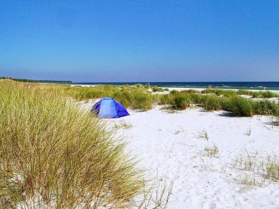 Holiday house Tranquil Retreat near Beach - By Traum Ferienwohnungen - Outdoor photo 12