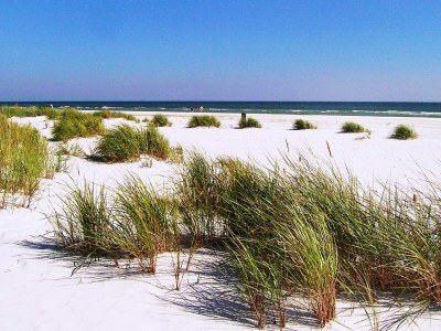 Holiday house Tranquil Retreat near Beach - By Traum Ferienwohnungen - Outdoor photo 13