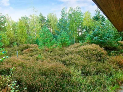 Holiday house Tranquil Retreat near Beach - By Traum Ferienwohnungen - Outdoor photo 15