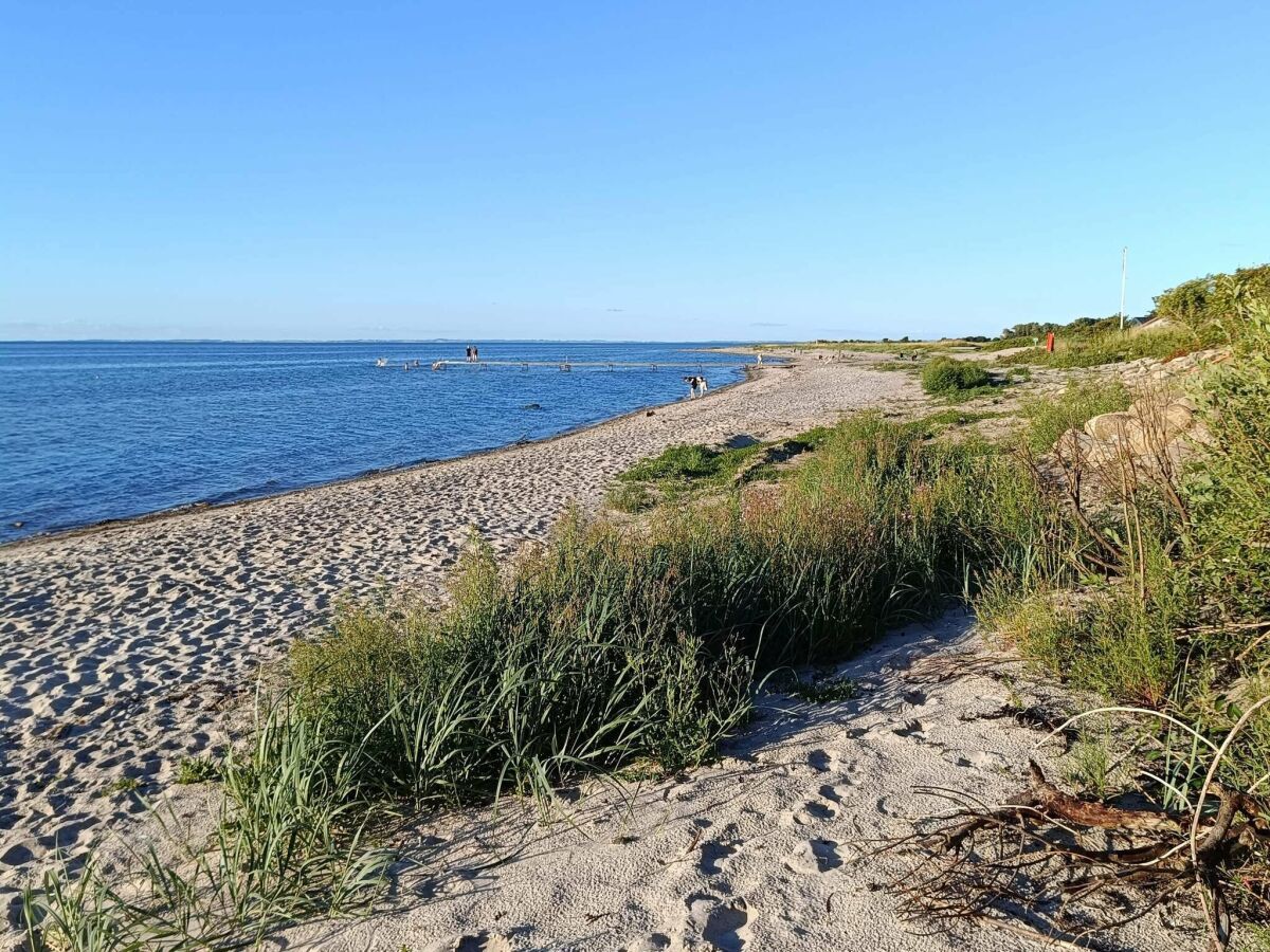 Holiday house Luxurioses Pool-Refugium in Nordborg -- By Traum Ferienwohnungen - Outdoor photo 4