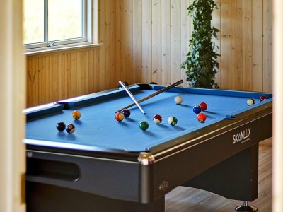 Holiday house Luxurioses Pool-Refugium in Nordborg -- By Traum Ferienwohnungen - Outdoor photo 7