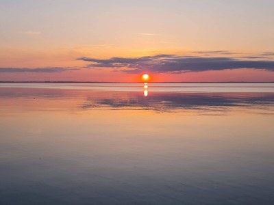 Holiday house Luxurioses Pool-Refugium in Nordborg -- By Traum Ferienwohnungen - Outdoor photo 18