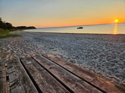 Holiday house Luxurioses Pool-Refugium in Nordborg -- By Traum Ferienwohnungen - Outdoor photo 39
