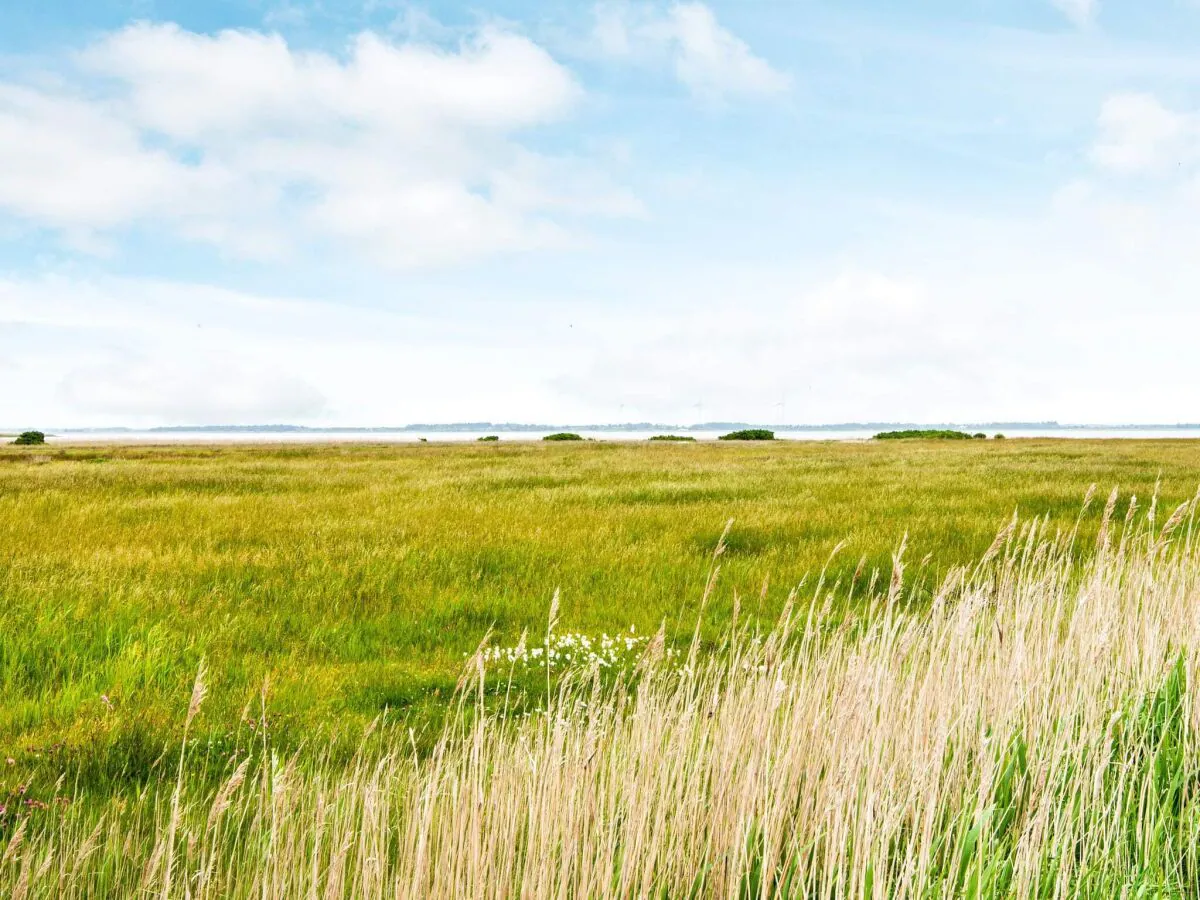 Holiday house 8 Personen Ferienhaus in Ulfborg - Outdoor photo 3