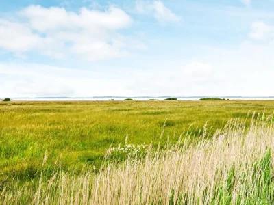 Holiday house 8 Personen Ferienhaus in Ulfborg - Outdoor photo 3