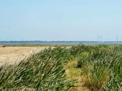 Holiday house 8 Personen Ferienhaus in Ulfborg - Outdoor photo 4