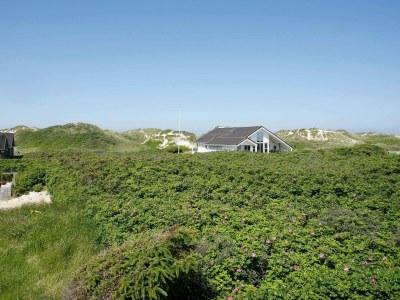 Holiday house Luxury Beach House in Blokhus - By Traum Ferienwohnungen - Outdoor photo 10