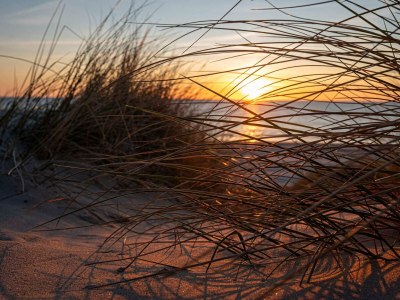 Holiday house Luxury Beach House in Blokhus - By Traum Ferienwohnungen - Outdoor photo 15